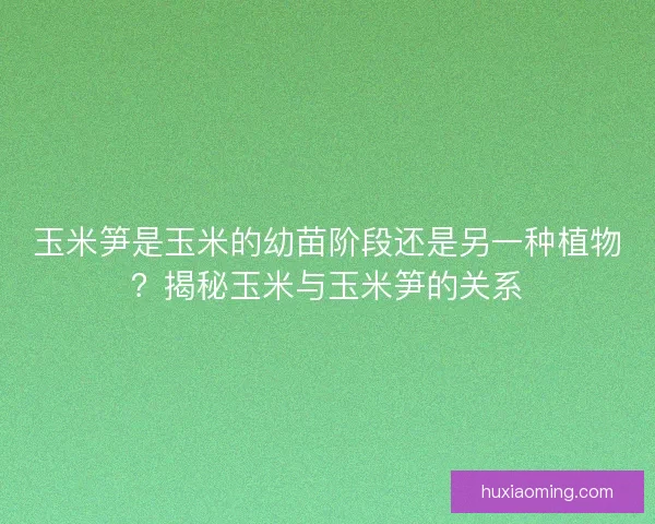 玉米笋是玉米的幼苗阶段还是另一种植物？揭秘玉米与玉米笋的关系