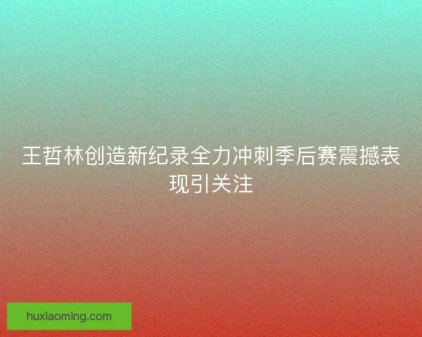 王哲林创造新纪录全力冲刺季后赛震撼表现引关注